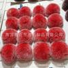 Bola de pelo de fábrica 8cm bola de pelo de coelho rex imitação cor geada bola de pelo artificial capa de celular acessórios de vestuário