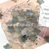 Acrílico Gelatina Borde Dorado Flor de Ciruelo Degradado Pétalos Hecho a Mano DIY Cadena para Teléfono Joyería Materiales para Ensartar Accesorios