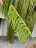 Bosque Escandinavo Verde Planta Verde Hoja Verde Techo de Salón de Bodas Mimosa Plástico Flor Falsa Hierba de Amante Eucalipto