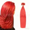 Atacado de Cabelo Natural Trançado e Perucas Europeias/Americanas # Cabelo Humano Vermelho Cabelo de Unha Extensões de Cabelo em Forma de U Cabelo Humano