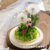 Caja de Regalo Colorida de Flor Inmortal de Diente de León Especimen Ramo de Flores Secas Regalo de Cumpleaños Regalo de Navidad para Amigos Hombres y Mujeres