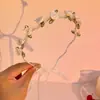 Diadema para Mujer Trenzada Exterior Lavado Facial Diadema Accesorios para el Cabello Alto Volumen Craneal Superior Uso Especial para Atar el Cabello Diario Accesorios para el Cabello de Lujo Ligero Alta Calidad