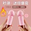Batido Misterioso Vibrador de Palo Av Vibrador Dispositivo de Masturbación Femenina Productos Sexuales para Adultos Juguetes Sexuales 110/Caja