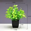 Punto Nuevo Bonsái Plantas de Decoración para el Hogar Pequeños Adornos Flores Artificiales Plantas Verdes Plantas en Maceta Flores Artificiales Fábrica Venta al Por Mayor