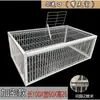 Gaiola de Pássaros de Sentido Único com Abertura Automática de Porta, Dispositivo de Captura de Pombos para Exterior, Armadilha Criptografada