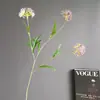 Plantas Verdes de Nicho, Fruto de Rícino, Bolas de Neve Mini de Plástico, Grãos de Arroz, Buquês Estilo Floresta Nórdica, Fruto de Rícino Artificial, Adereços de Fotografia