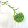 Planta Verde de Simulación Clavel Verde Venta Caliente Transfronteriza Sensación de Cosquilleo Clavel Falso Plástico Flor Falsa Bola de Pelo Verde Decoración de Mesa de Comedor