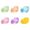 Micro Paisagem de Musgo Redondo Luminoso Pequeno Caracol Grânulos Fofos Jardinagem Paisagismo DIY Acessórios Decorativos Mini Enfeites