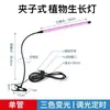 Lámpara de Crecimiento para Plantas de Espectro Completo Similar a la Luz Solar Transfronteriza para Uso en Interiores, Luz Morada LED para Coloreado de Suculentas e Iluminación Suplementaria