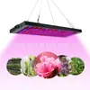 Luz Led de Espectro Completo para Crecimiento de Plantas Luz Led para Cultivo Plantación en Interiores y Cultivo de Plántulas Panel Led Luz para Plantas