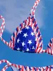 Nuevo Bikini Sexi de Dos Piezas para Mujer Europeo y Americano Transfronterizo Estilo de Moda