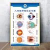 Tienda de Óptica Publicidad Clínica Oftalmológica Diseño de Pared Pintura Colgante Decorativa Diagrama de Estructura del Globo Ocular Proceso de Optometría Póster Promocional