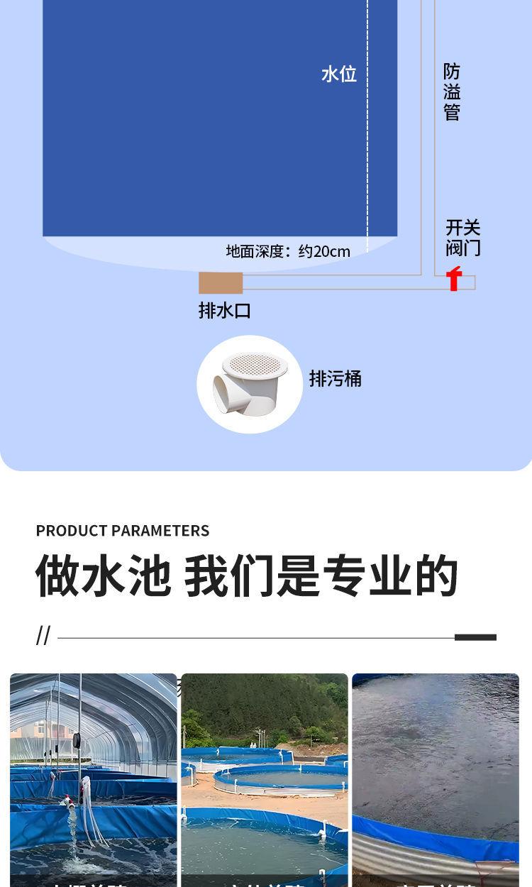 详情10