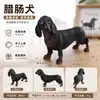 Brinquedos de Simulação Infantil Mundo Animal Marinho Modelo Urso Polar Coelho Polar Rena Moby Dick Enfeites Cognitivos