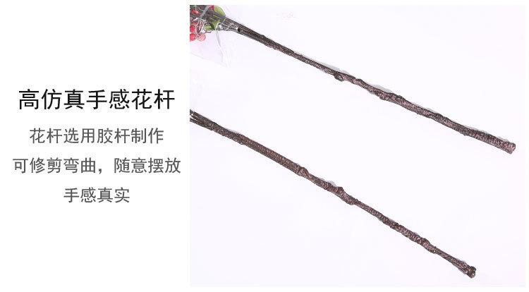 描述图_6.jpg