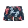 Shorts de Playa Sueltos para Hombre con Estampado Digital de Piña, Forro de Malla, Tallas Grandes para Baño en Aguas Termales