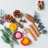 Flores Secas Frutas Secas Cáscaras de Fruta Piñas Decoración Hecho a Mano DIY Materias Primas Naturales Estilo Bosque Aromaterapia Navidad