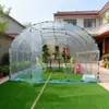 Use Estufas de Plástico e Tendas Isolantes para Manter as Plantas Aquecidas Durante o Inverno, Pequenos Solários para Uso no Quintal