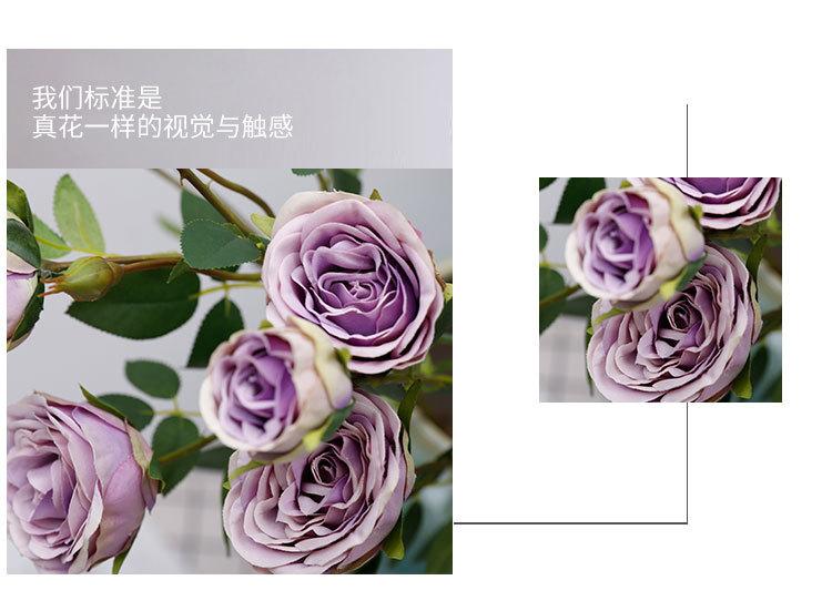 4头大茶花+6头金香玉_11.jpg