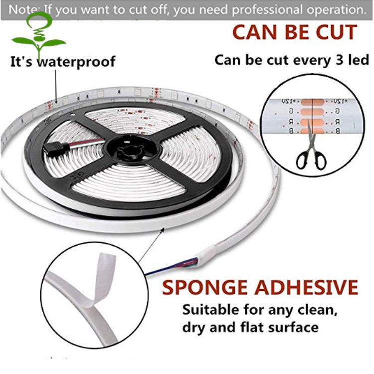 25207