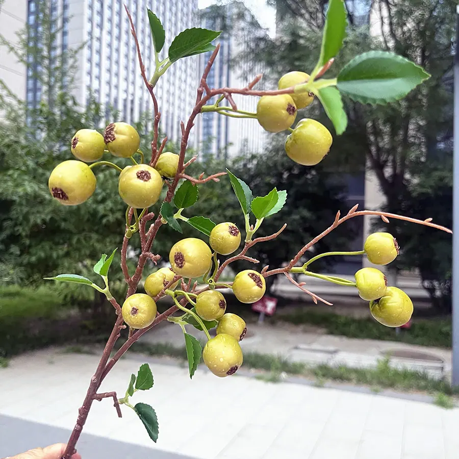 21头小菜果-绿色.JPG