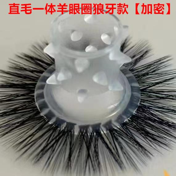 微信图片_202402282037032_副本