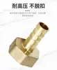 "bota Series" Latón Completo Pagoda Rosca Exterior Directa Rosca Interior Directa Codo Rosca Exterior Junta Fuente de Aire Neumática Baile
