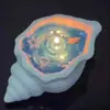 [Llegada de 0.01] Vela Aromática con Olor a Caracola Creativa Hecha a Mano Adornos de Cumpleaños para Dormitorio Larga Duración Uso en el Hogar