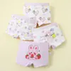 Calzoncillos tipo bóxer de algodón antibacteriano en la entrepierna de Princesa Linda para Niñas, Pantalones Cortos de Cintura Media para Estudiantes de Primaria, Venta al por Mayor para Niños Mayores