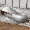 Recién llegado: Pescado Vareal Salado, Mariscos Secos del Mar de China Oriental, Secado al Sol por Pescadores, 20/500g Pescado Vareal, Venta Directa del Fabricante