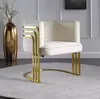 Sillón individual, acero inoxidable color dorado de lujo ligero, moderno minimalista para sala de estar, recepción de ocio y silla de reunión