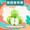 Entrega Mayorista de Manzana Verde Shaanxi 1/2/3/5/ 4.5kg Manzana de Piel Verde Dulce y Ácida Crujiente Paquete Familiar Fruta Fresca