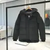 Jaqueta Goose 17 Macmillan Masculina e Feminina Jaqueta de Penas Espessa Penas de Pato Branco Curta com Capuz Outono e Inverno