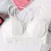 Verão 2020 Novo Cruzado Costas Bonitas Confortável Respirável Pequeno Alça de Ombro Envolto no Peito Renda Sexy Tomara que Caia Base Fina