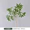 Árvore da fortuna artificial planta verde decoração madeira bêbada sino pendurado mesa de jantar decoração de casa quarto modelo decoração suave arranjo de flores paisagem