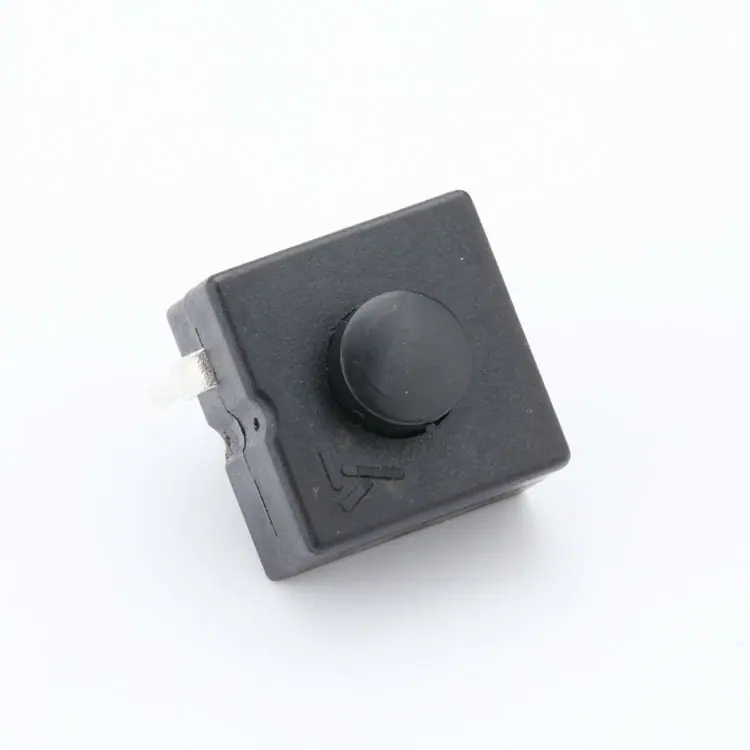 D99A7558