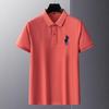 Verano Nuevo Transfronterizo Camiseta de Solapa para Hombre Color Sólido Algodón Camisa Polo para Hombre Camiseta para Hombre Amigable con la Piel Bordada Combinable Manga Corta para Hombre