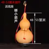 Calabaza Natural Extra Grande Adorno de Calabaza Decorativa Colgante Pequeño de Calabaza para Sala de Estar Calabaza Cultivada Naturalmente con Asa