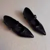 Sapatos Femininos de Pele de Ovelha Estilo Francês para o Dia a Dia Salto Baixo Modelo Novo 2026 Sapatos Mary Jane com Tiras Afunilando Bico Fino Salto Alto