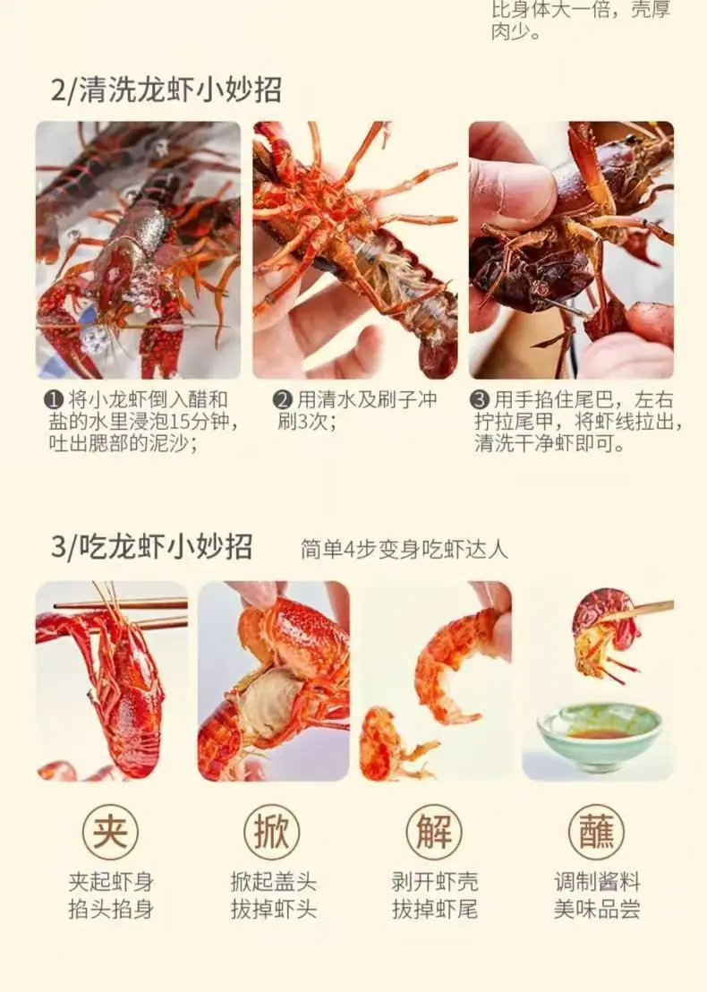 9051db75fb06e0098fb82ac1bc8372
