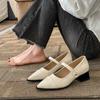 Zapatos Mary Jane de Punta Estilo Francés para Mujer con Tacón Grueso, Nuevos Zapatos de Salón de Boca Baja Primavera 2024, Tacones Altos Retro para Mujer con Tacón Medio