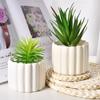 Maceta de Cerámica para Flores Suculentas en Maceta Creativa Planta Verde Bonsái Jardinería Patrón Vertical Simple Redonda Grande Porosa Maceta Dehua