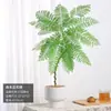 Jacaranda en Maceta Planta Verde de Interior para Oficina Estilo Japonés Sala de Estar Mueble de TV Planta de Piso Fácil de Mantener en Todas las Estaciones
