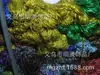 Los fabricantes suministran banda de goma para el pelo línea Yuanbao banda para el pelo cuerda para el pelo tocado flor accesorios para la cabeza producción de muestras banda de goma para el pelo