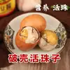 Huevos de Embrión de Pollo Cocidos con Cinco Especias Picantes, Huevos Incubados de 13 Días, Huevos Sin Pelo, Huevos Templados, Huevos No Peludos, Venta al por Mayor Transfronteriza