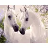 Dropshipping Transfronterizo Pintura al Óleo Digital al por Mayor Pinturas sin Marco 40X50 Amazon Wish Fábrica de Pintura Vestíbulo Ozon Caballo