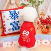 Roupas de Outono e Inverno para Filhotes e Gatos para Atrair Riqueza e Despertar o Leão Roupas Festivas de Duas Pernas Bichon Teddy Cães de Porte Pequeno Atacado