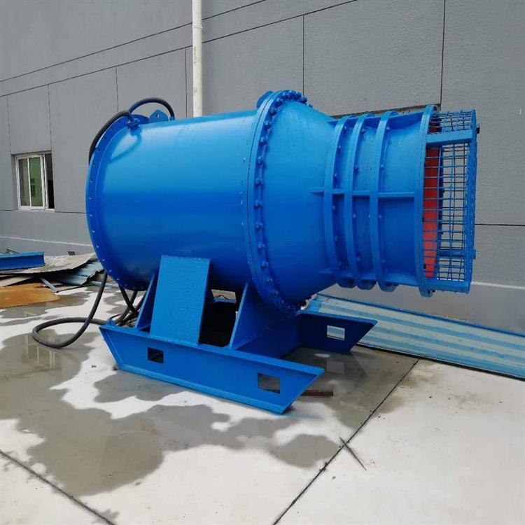 卧式雪橇式轴流泵 (2)