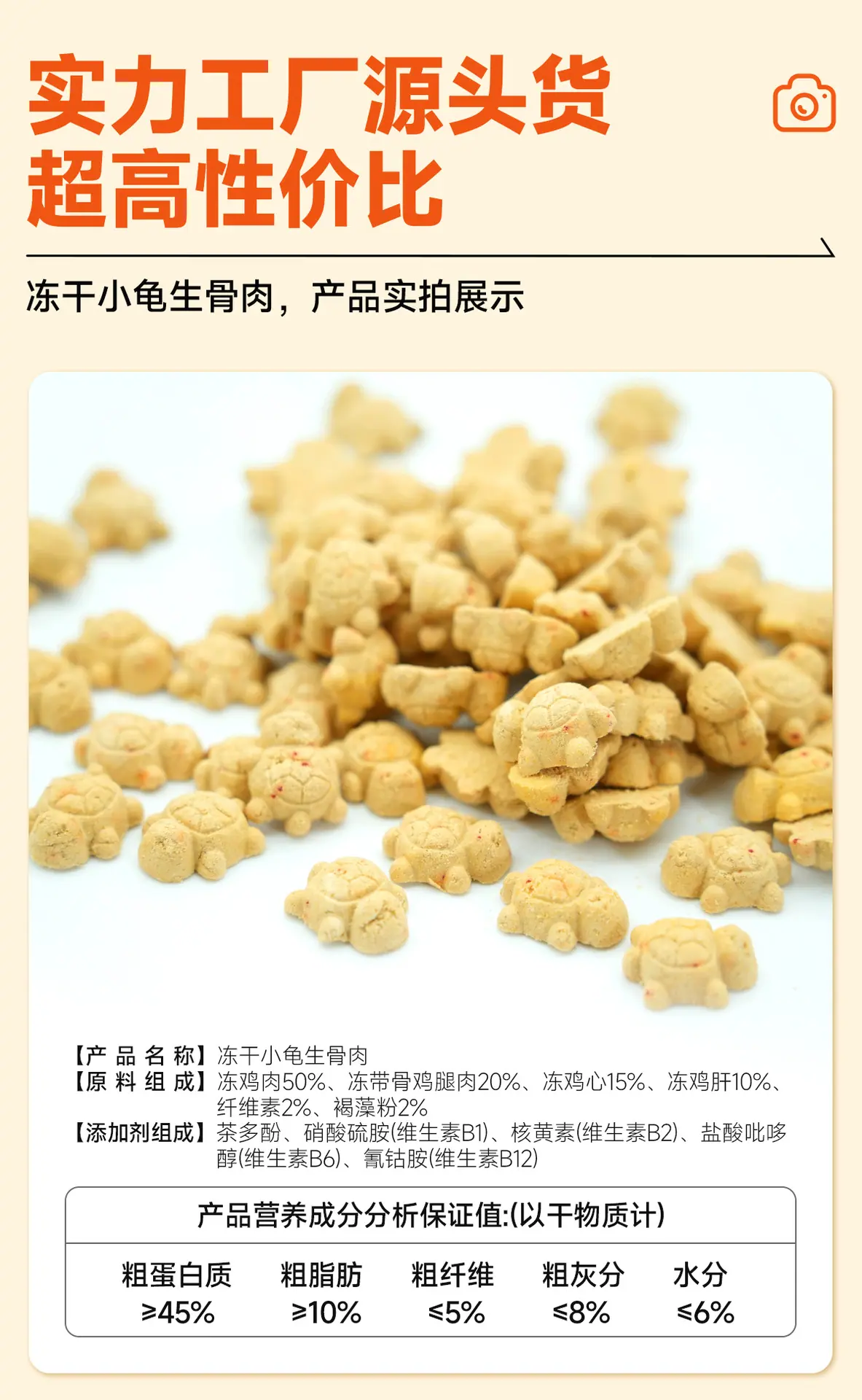 乌龟_07.jpg