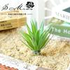 Cabeça de Flor Suculenta Coleira Grama de Ensino Criativo Acessórios DIY Arranjo de Flores Planta Decorativa Atacado Móveis para Casa Dropshipping